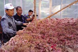 Kalsel Alami Deflasi 0,14 Persen Pada Februari