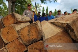 Polisi Tetapkan Pemilik Kayu Gelap Sebagai DPO