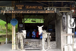 Belajar Mengenal Ganasnya Merapi melalui Museum "Sisa Hartaku" (Video)