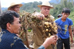 Bupati: sudah saatnya Takengon produksi bibit kentang