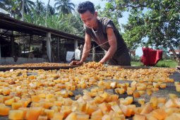 Produksi kerupuk kulit di Aceh Barat meningkat