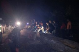 Pohon Tumbang Tutup Jalan Antarprovinsi di Magetan