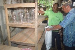 Petani Penggarap Lahan Reboisasi TNMB Dapat Pelatihan Budi Daya Semut Rang-rang