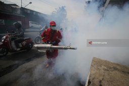Satu Warga Ngawi Meninggal Akibat Demam Berdarah