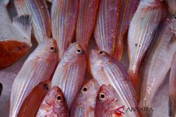Warga keluhkan harga ikan laut