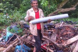 Petani Aceh Utara resah dengan gangguan gajah