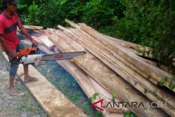 Polres Aceh Besar tangkap dua perambah hutan