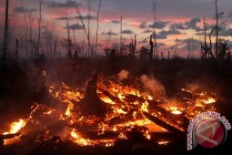Batanghari dorong petani berasuransi