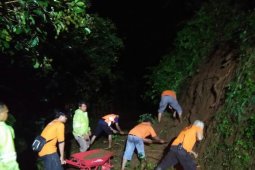 Terjadi Tiga Titik Longsor di Jember (Video)