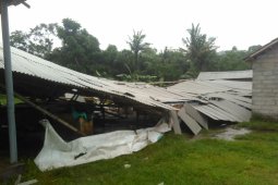 Tiga Kecamatan di Jember Diterjang Angin Puting Beliung