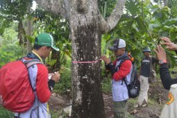 Begini Cara Peneliti Unej Ukur Karbon di TN Meru Betiri