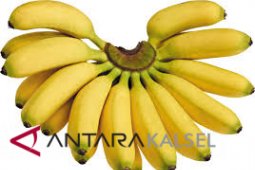 Pisang Mahuli Mami Varietas Lokal Tapin