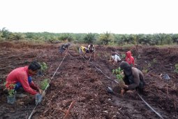 Kelompok Tani Mekarsari raih klaster inovatif nasional