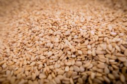 Khasiat wijen untuk kulit dan rambut