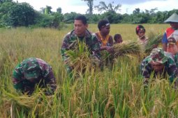 TNI Telusuri Gizi Buruk di Sorong Selatan