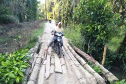 Tolong perbaiki jembatan Aekkanopan Timur