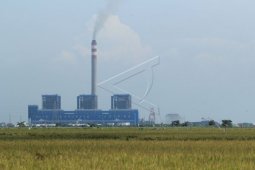 Harga Batu Bara Harus Dapat Dikontrol