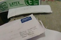 Pengiriman Ganja Impor Digagalkan Bea Cukai