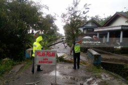 Angin Kencang Landa Sebagian Ponorogo