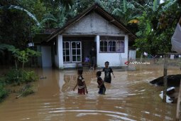 Banjir Genangi 2.741 Rumah Warga di Jember