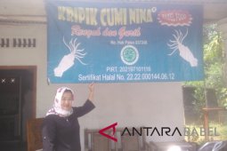 Dekranasda latih UMKM pasarkan produk secara digital