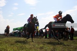 Final Pacuan Kuda Piala Menpora