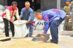 Dorong pengembangan beras organik