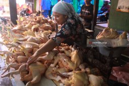 Kenaikan Harga Daging Ayam Picu Inflasi Kota Malang