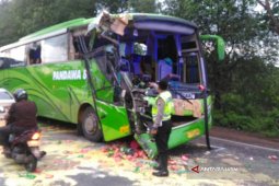 Buss Pariwisata Kecelakaan di Situbondo Dua Tewas (Video)