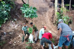 Bencana Longsor Kembali Terjadi di Jalan Wisata Rembangan jember