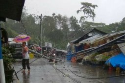 Sejumlah Pohon di Pacet Tumbang Akibat Angin Kencang