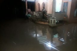 Ratusan Rumah di Situbondo Terendam Banjir (Video)