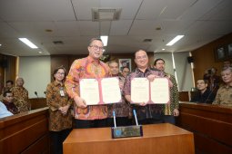 Bangkitkan kejayaan lada, Bangka Belitung dengan IPB  kerja sama