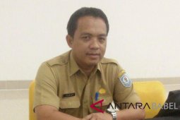 Pemkab Bangka Selatan minta pemdes sampaikan APBDes