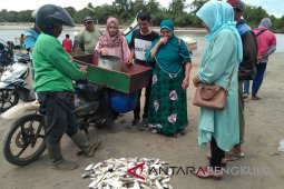 DKP Mukomuko usulkan wilayah pengembangan perikanan tangkap