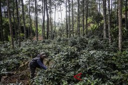 Program Pengelolaan Perhutanan Sosial