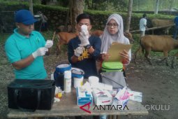 Realisasi program IB di Mukomuko melebihi target