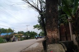 Tindak Tegas Bagi Pengrusak Kawasan RTH