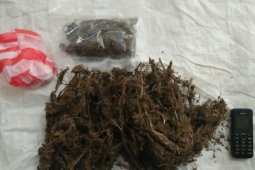 Polisi ringkus pengedar ganja