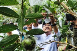 Gus Ipul Inginkan Sertifikasi Petani Organik