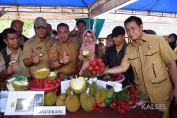 Gubernur Kalsel Ajak Masyarakat Manfaatkan SDA Terbarukan
