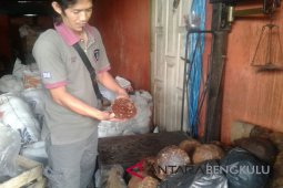 Harga gula aren Bengkulu bertahan Rp12.000