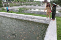 BBI Kota Madiun Produksi 298.000 Bibit Ikan