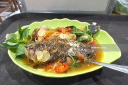 Iwak Kutuk Bu Edy White di Jember Maknyuss (Video)