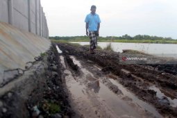 Akses Jalan Rusak, 350 Ton Garam Krosok Probolinggo Terancam Tidak Terjual