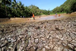 Kemarau ganggu produksi sawit Sumut
