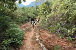 Kapuas Hulu usul 50 ruas jalan keluar kawasan hutan