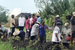 Jokowi: Proyek Padat Karya Dongkrak Daya Beli Rakyat Pedesaan (Video)