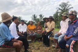 Presiden "Blusukan" Proyek Padat Karya Tabanan Bali (Video)