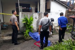 Polsek Denpasar Barat bekuk pelaku pembunuhan tabib